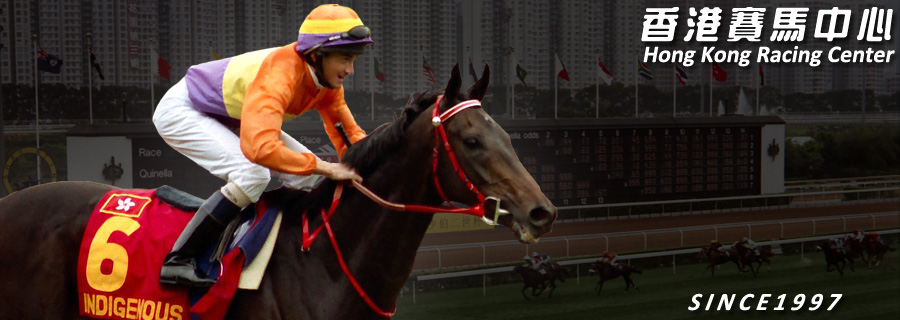 香港競馬専門サイト「香港賽馬中心」